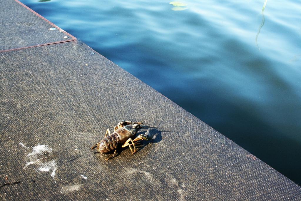 Apartamenty Jasmin I Lilia Jez. Sunowo Kolo Elku Chrzanowo Esterno foto